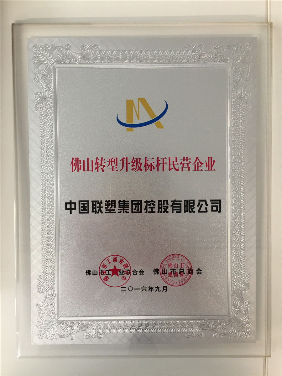 佛山轉(zhuǎn)型升級(jí)標(biāo)桿民營(yíng)企業(yè)(中國(guó)聯(lián)塑)